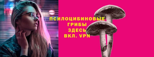 гидропоника Нягань