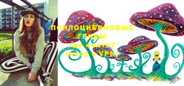 гидропоника Армянск