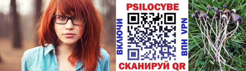 Псилоцибиновые грибы ЛСД  kraken   Ртищево  купить наркотики сайты 